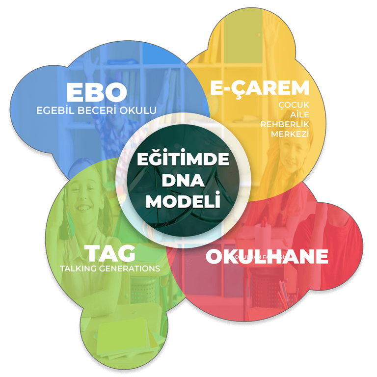 Business School Eğitim Modeli Nedir